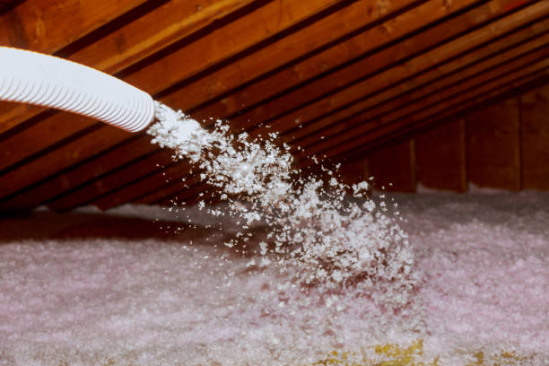Best Residential Insulation in Royal Palm Beach, FL